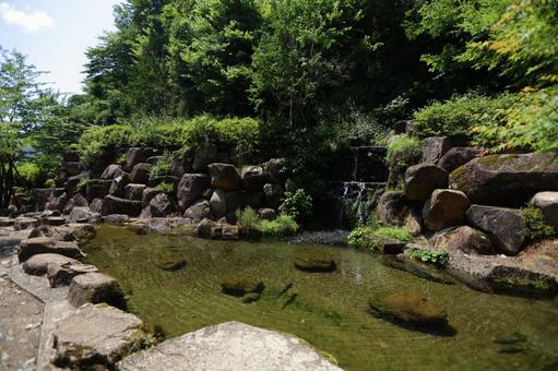 日本庭園 日本庭園の写真