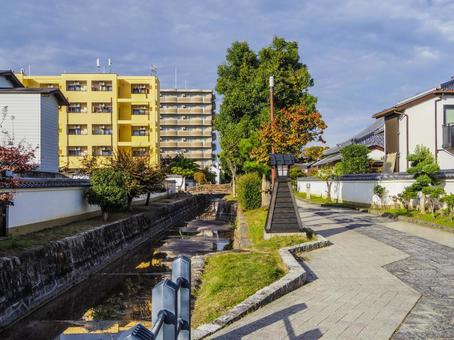 【奈良県】大和郡山市・外堀緑地 外堀緑地,大和郡山市,奈良県の写真素材