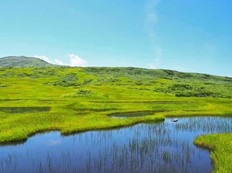 夏の景色45 夏の景色45 月山,月山弥陀ヶ原湿原,湿原の写真素材