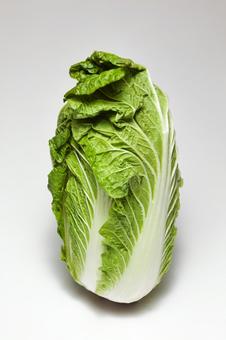 白菜2 白菜2 新鮮,野菜,生の写真素材
