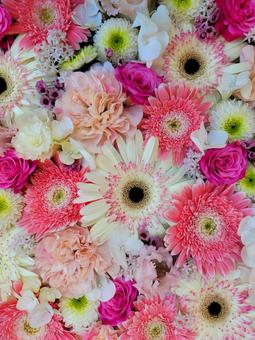 ピンクとホワイトの華やかな花たち 花,フラワー,フラワーアレンジメントの写真素材