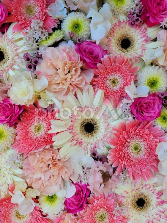 ピンクとホワイトの華やかな花たち 花,フラワー,フラワーアレンジメントの写真素材