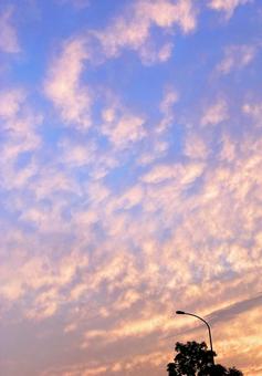 夕焼け 夕焼けの写真