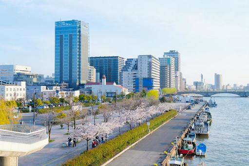 新潟市 新潟市 新潟市,新潟県,信濃川の写真素材