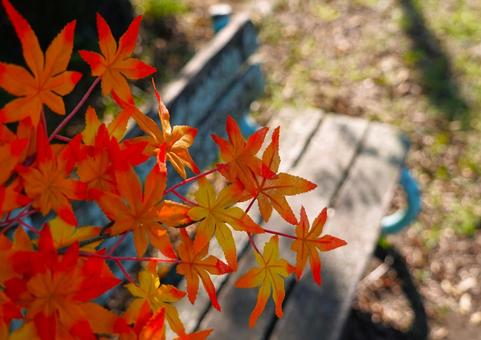 秋のベンチ①(後ボケ) 秋のベンチ①(後ボケ) 紅葉,ベンチ,秋の写真素材