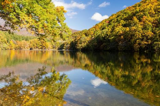 秋の長老湖⑷ 秋,紅葉,長老湖の写真素材