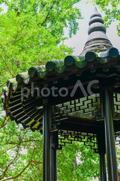 蘇州・留園 蘇州,留園,世界遺産の写真素材