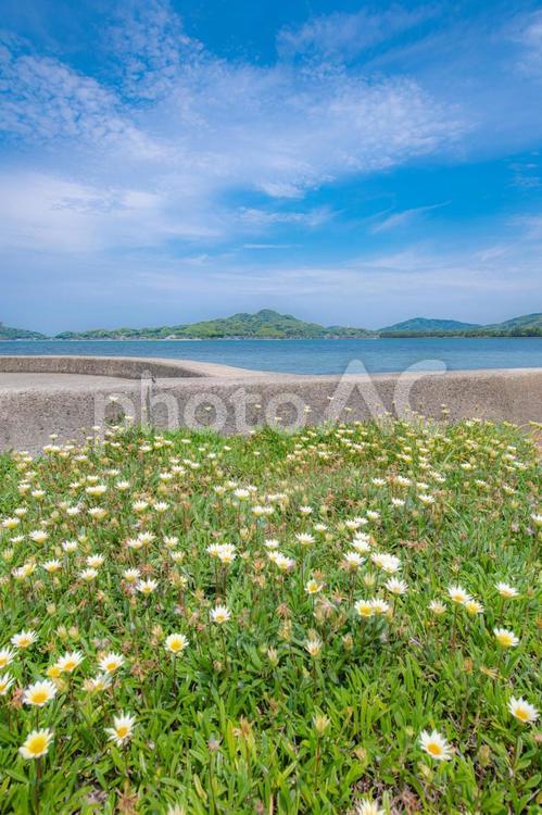 海岸から眺める海の景色 海,海岸,海岸沿いの写真素材