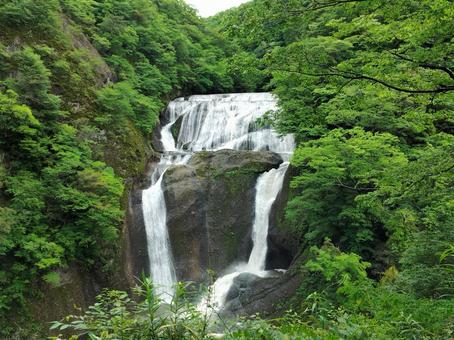 袋田の滝 袋田の滝 滝,日本三名瀑,初夏の緑の写真素材