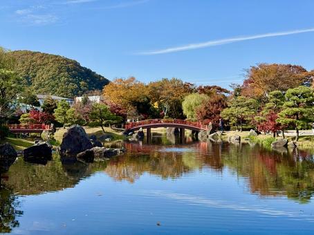 秋の昼間の紫式部公園　11月　紅葉 11月,昼間,カラフルの写真素材