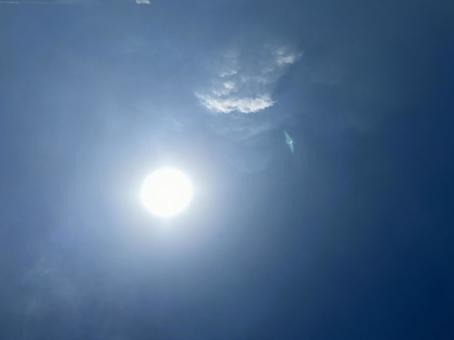 太陽 太陽の写真