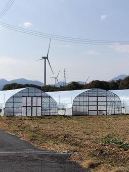 風力発電 風力発電,風車,鳥取県の写真素材