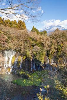 縦長サイズの白糸の滝展望台 縦長サイズの白糸の滝展望台 白糸の滝,展望台,真冬の写真素材