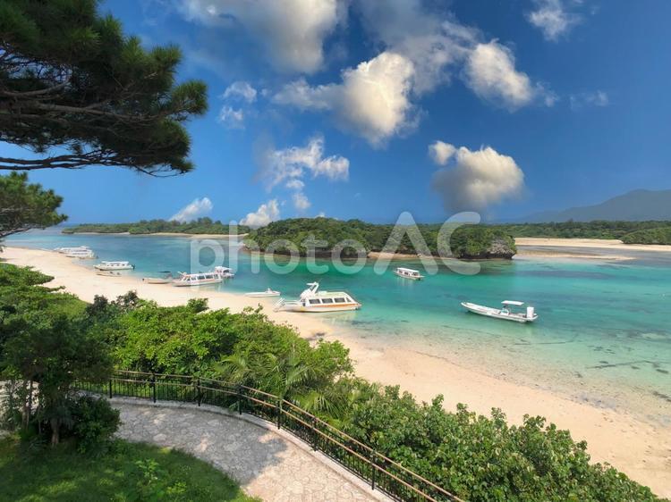 南国の癒し 沖縄,石垣,石垣島の写真素材