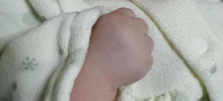 子どもの手3 新生児,子,手の写真素材