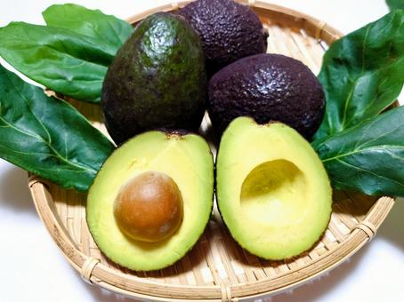 アボカド アボカド,アボガド,森のバターの写真素材