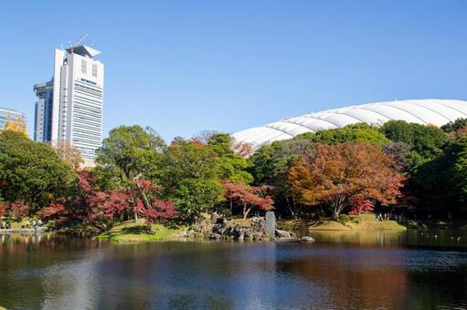 小石川後楽園の秋の風景 小石川後楽園,風景,建物の写真素材
