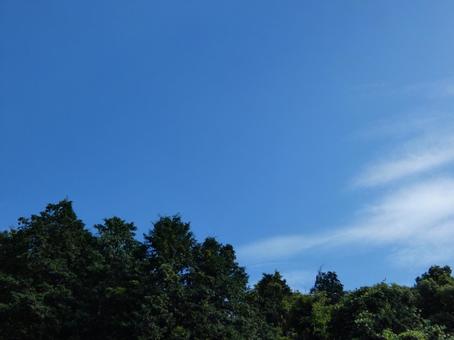 青空と雲を見上げる03 青空と雲を見上げる03の写真