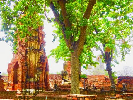 Trees, Buddha and pagoda in Ayutthaya ruins, JPG