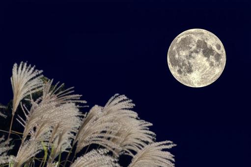 お月見 十五夜 お月見 十五夜 月,十五夜,満月の写真素材