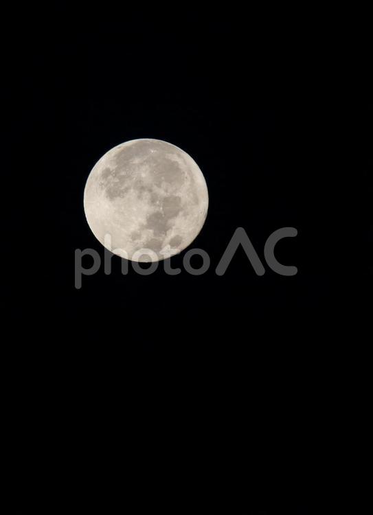 名月　十五夜の満月 月,名月,十五夜の写真素材