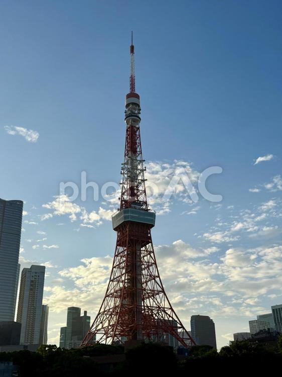 夕方　芝公園から見た東京タワー 晴天,東京タワー,風景の写真素材