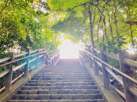 希望が見えてきた 希望が見えてきた 希望,目標,チャレンジの写真素材