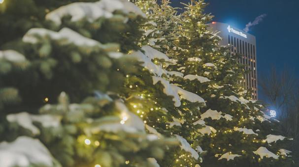 枝に積もる雪 枝に積もる雪 景色,雪,クリスマスの写真素材