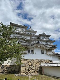 晴れ空の下の白鷺城(姫路城) 晴れ空の下の白鷺城(姫路城) 姫路城,城,白鷺城の写真素材