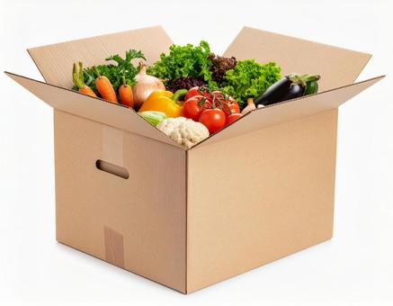 段ボールに入れられた野菜の写真