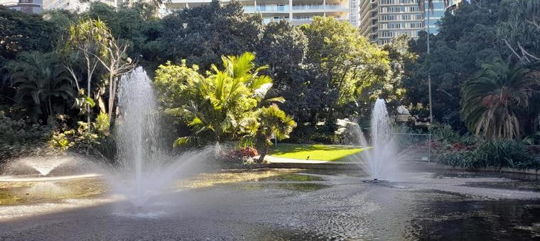 Photo, park, urban park, city oasis, 