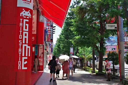 秋葉原2025夏　中央通り 秋葉原,中央通り,電気街の写真素材