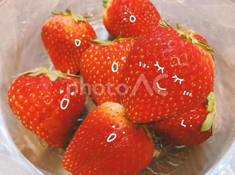 かわいいいちごに夢中のいちご達 いちご,イチゴ,苺の写真素材