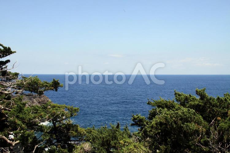 南伊豆の景色 南伊豆,海,エメラルドグリーンの写真素材