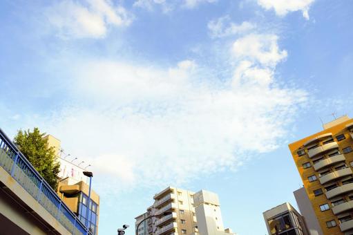 都会の夏空 渋谷区 都会の夏空 渋谷区 街風景,夏,曇り空の写真素材