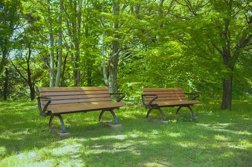 ベンチ 緑の公園 ベンチ 緑の公園 ベンチ,椅子,座るの写真素材