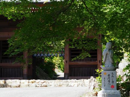 青もみじ祭りの普門寺仁王門(愛知県) 青もみじ祭りの普門寺仁王門(愛知県)の写真