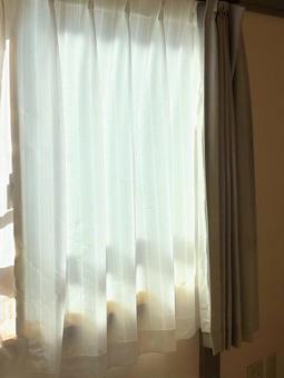 陽射し カーテン,窓,陽射しの写真素材