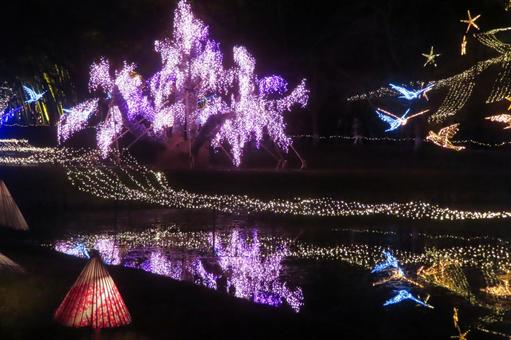 イルミネーション イルミネーション,灯り,広島県の写真素材