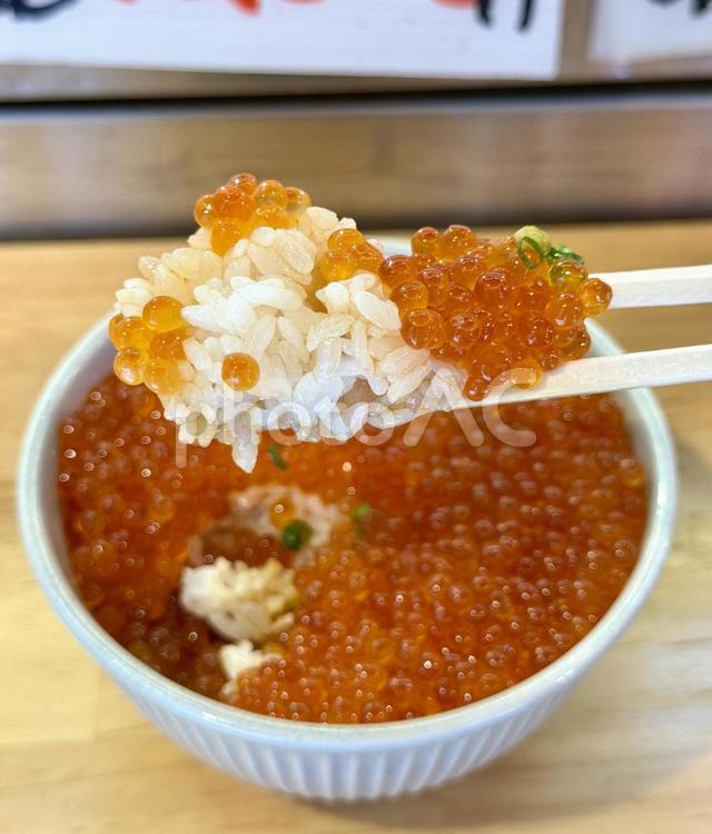 いくら丼　食事風景 いくら丼,どんぶり,カウンターの写真素材