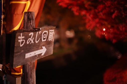 もみじ回廊看板 もみじ回廊,紅葉祭り,ライトアップの写真素材