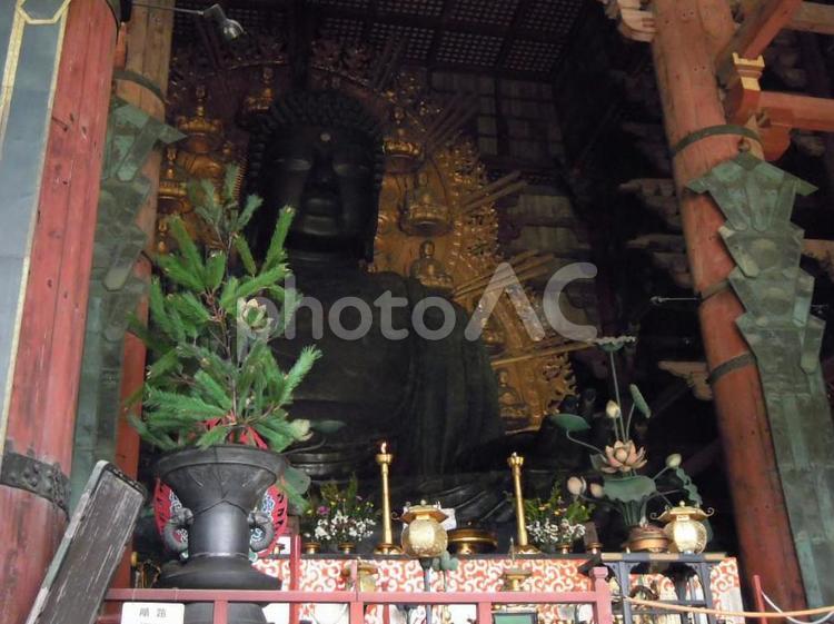 東大寺の大仏様 東大寺,大仏,奈良の写真素材