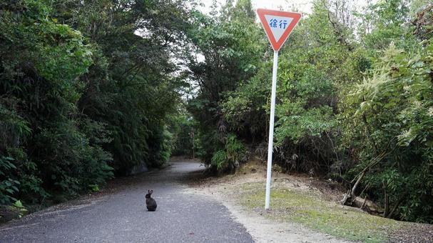 森の中のうさぎと徐行標識 森の中のうさぎと徐行標識 うさぎ,ウサギ,大久野島の写真素材
