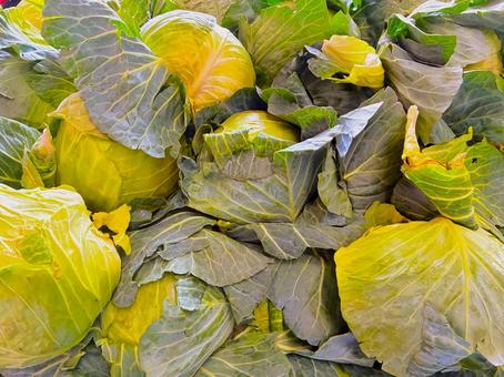 キャベツ キャベツ キャベツ,野菜,市場の写真素材