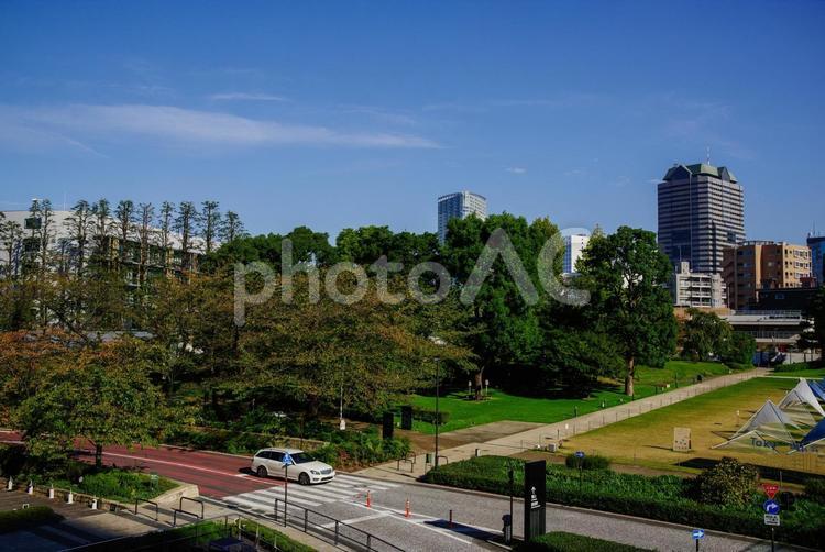 秋の街の風景 秋空,街並,公園の写真素材