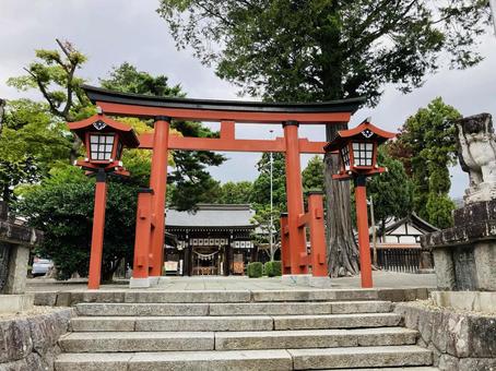 諏訪神社 鳥居 諏訪神社 鳥居の写真