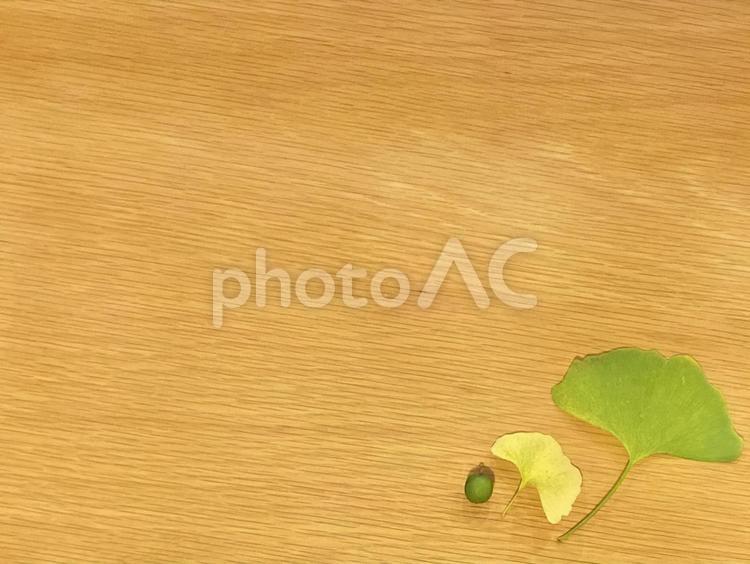 緑と黄色のイチョウの葉と熟す前の実 銀杏,いちょう,ぎんなんの写真素材