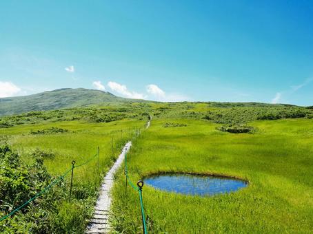 山道27 山道27 山,月山,月山弥陀ヶ原湿原の写真素材