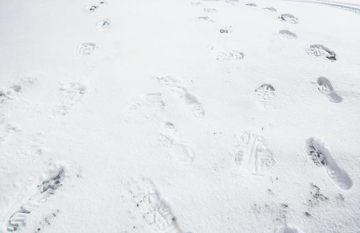 雪の上の足跡1 雪の上の足跡1の写真