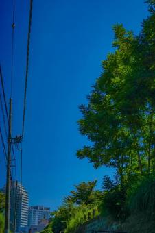 青空と建物 青空,電線,電柱の写真素材